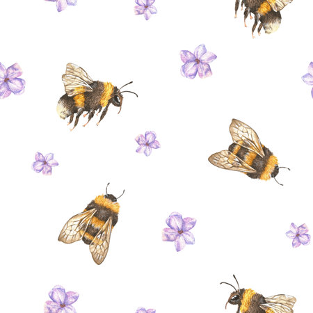Watercolor botanical illustration. Seamless pattern of purple lavender wild flowers and bumblebees. Fragrant field herb. Hand drawn on a white background. For fabrics, prints for childrens clothingの写真素材