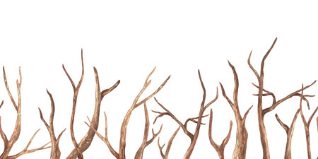 Branch seamless Border. Watercolor illustration of Tree without leaves. Hand drawn on white isolated background. Drawing of dry twig pattern. Painting of frame templateの写真素材