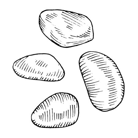 Pebble outline set. Vector illustration of stone. Hand drawn graphic clipart of rough rock. Linear drawing on isolated background. Black contour line artのイラスト素材