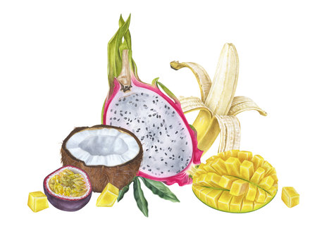Tropical Fruits Watercolor illustration. Hand drawn clip art on isolated white background. Exotic food mix painting. Drawing of summer plants. Sketch grocery for prints. Banana with mango and coconutの写真素材