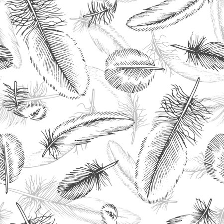 Feather Vector seamless Pattern. Outline illustration of quills background. Black and white line art of bird plumes. Hand drawn graphic sketch. Linear drawing of vintage printのイラスト素材