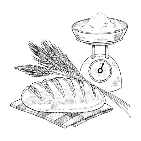 Bread with Wheat Vector hand drawn illustration. Freshly baked loaf sketch drawing. Vintage white and black line art on background. Food and flour for design. Preparation of pastry in the bakeryのイラスト素材