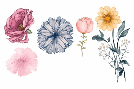 Floral set of hand drawn flowers. Botanical line art wallpaper with flowers, branches eaves. Pastel watercolor floral design for banner, prints, wall art and home decor, wedding invitationのイラスト素材