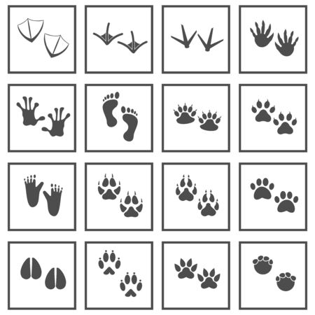 animals footprint icon vector design symbolのイラスト素材