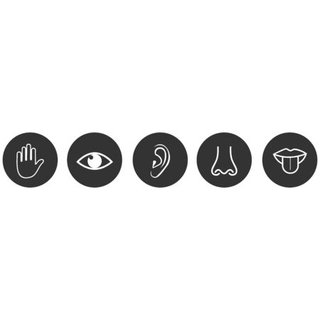 five sense icon vector design symbolのイラスト素材