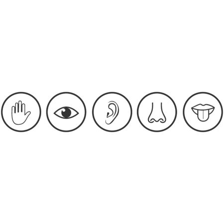 five sense icon vector design symbolのイラスト素材