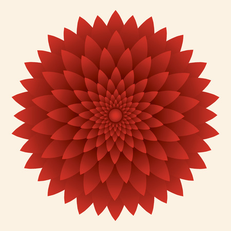 Abstract flower, red chrysanthemum Vector illustrationのイラスト素材