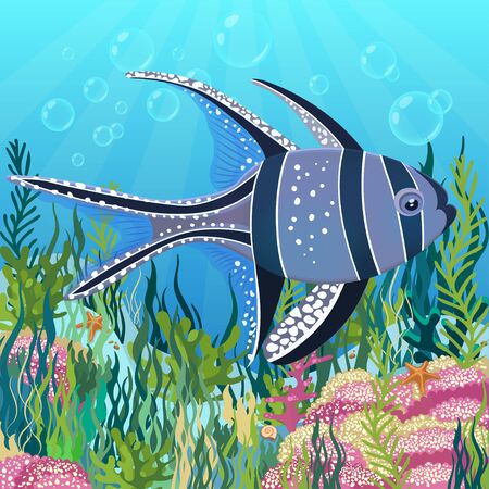 Algae drawing, underwater world background. Violet yellow fish with white spots floating on illuminated bottom of ocean. Vector illustrationのイラスト素材