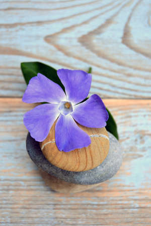 Three zen stones on old wood decorated purple flowerの写真素材