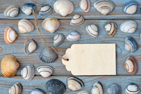 gray blue old wooden background with empty frame label and sea shells