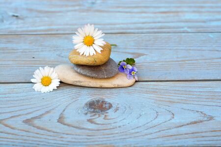 Zen stones on ablue gray old wooden background with daisies field flowersの写真素材