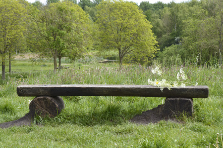 Closeup or old wooden bench in the parc with field flowers as buttercups and whistling herb in the...
