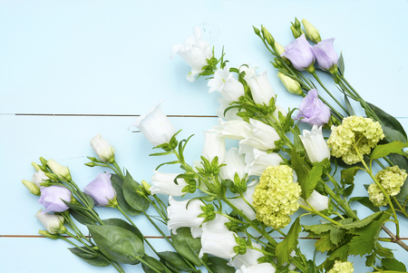 Vintage aqua green blue background with white purple lilac and yellow field flowers with empty copy spaceの写真素材