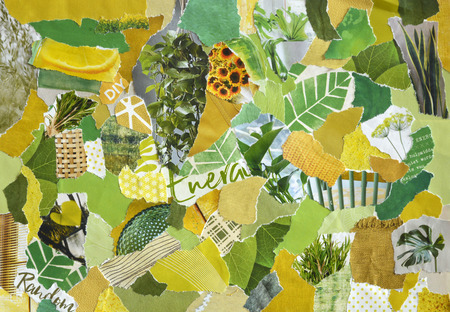 Collage mood board in organic green yellow colors with plants and flowers in retro style made of...