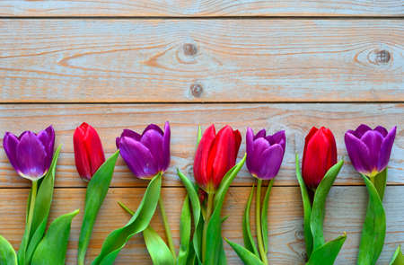 A bouquet of purple red tulips on a wooden empty copy space backgroundの写真素材