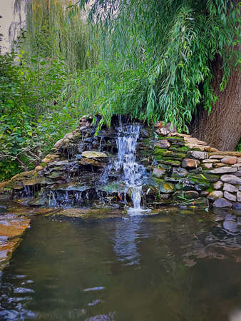 Beautiful artificial waterfall of stones, which flows into a small lake. Willow green leaf background. Outdoor architecture concept.の写真素材