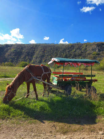 Old horse-drawn carriages with a light brown horse grazing on grass and parked on a beautiful hill. High mountains and blue sky with white clouds in the background. Rustic landscape.の写真素材
