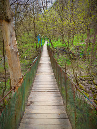Small old wooden bridge in good condition over the mountain river. Beautiful mountain landscape with dry trees and earth covered with green grass. Alone in the middle of nature.の写真素材