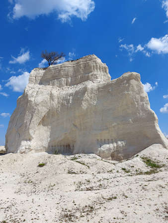 White limestone rock. Tree that grows on top of the rock. Beautiful monument of nature and humanity. Clear blue sky with white clouds.の写真素材