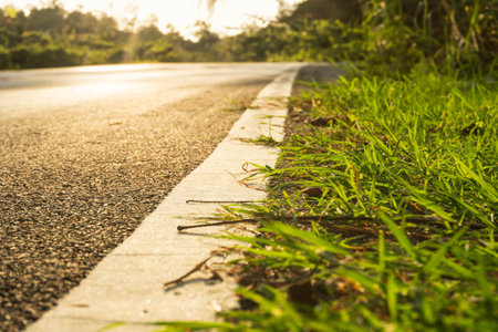 Evening road and green grass beside the roadの写真素材
