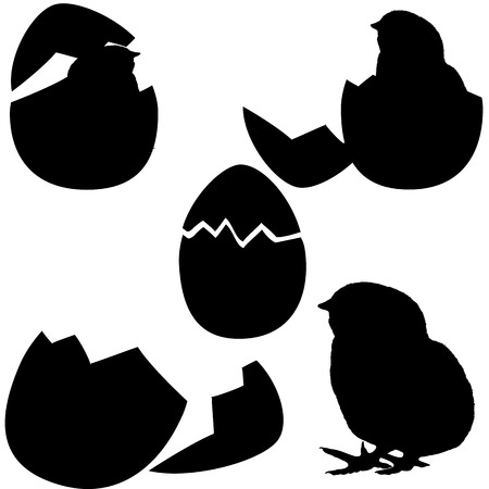 Chicken hatching.chicken's silhouette on white background. vectorのイラスト素材