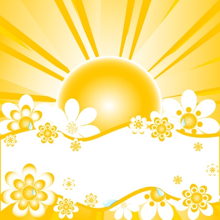 vector illustration of colorful summer background with daisies, water-drops and place for textのイラスト素材