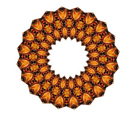 kaleidoscope of leaves