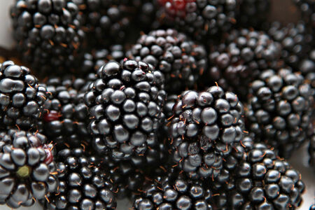 Blackberries background - shallow depth of field