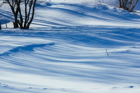 Winter sceneryの写真素材
