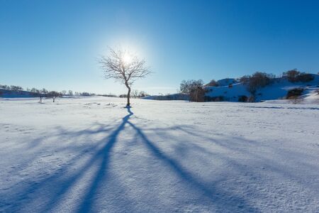 Winter sceneryの写真素材
