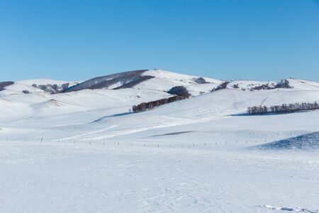 snow sceneの写真素材