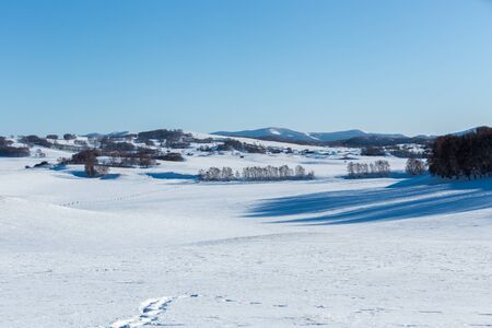 snow scene