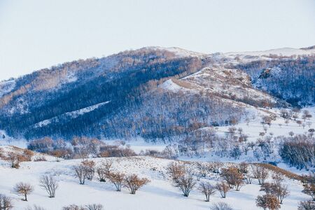 winterの写真素材
