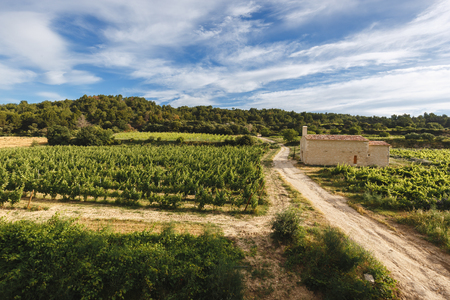 Provence Country Winery Vineyards in Southern Franceのeditorial素材