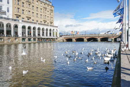 Alster Lake Arcade Natural Landscape in Hamburg, Germanyのeditorial素材