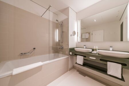 Luxury hotel bathroom model room