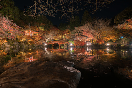Night view of the red maple trees and garden at Daigo-ji Temple, Kyoto, Japanのeditorial素材