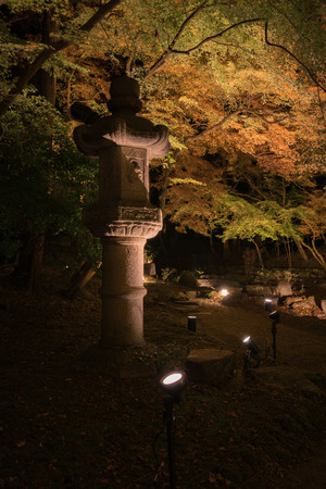 Night view of the red maple trees and garden at Daigo-ji Temple, Kyoto, Japanのeditorial素材