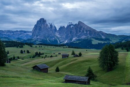 Sunrise and with morning mist among the meadow in Alpe di Siusi, Natural landscapes in Dolomites,...