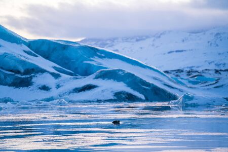 Amazing landscapes and huge glaciers in the Jokulsarlon Glacier Lagoon (glacial river lagoon), with...
