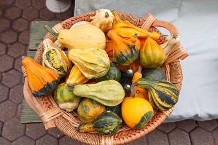 A basket of pumpkins in different shapesの写真素材