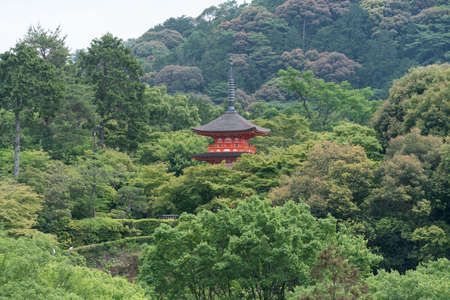 Kiyomizu Temple in summer, Kyoto, Japan