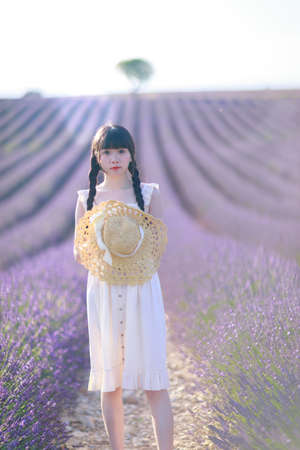 Asian women in white retro long dress standing in Provence lavender field in summerの写真素材