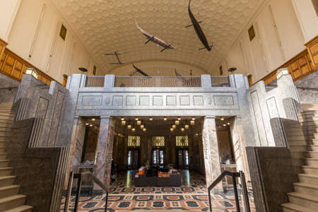 Exhibition and building interior in the Museum am Rothenbaum  Kulturen und Knste der Welt, Cultures and Arts of the Worldのeditorial素材