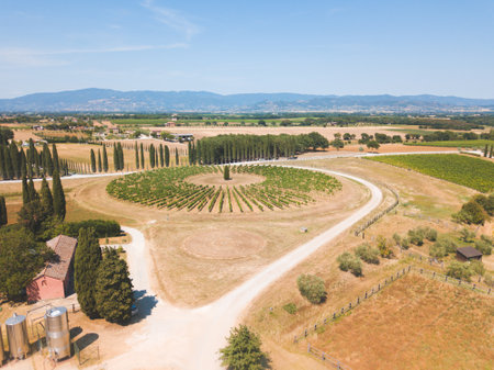 Aerial photography of vineyards and winery in Tuscany, Italyの写真素材