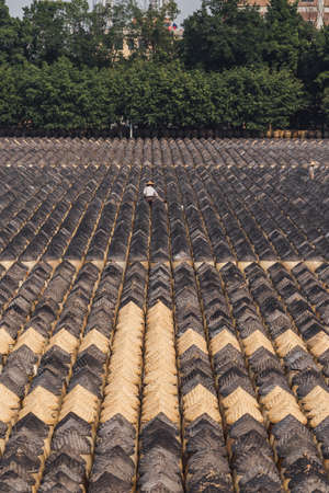 Traditional soy sauce factory, the fermented field with numbers of earthen jars on the ground and workers working in the field, Xiamen, Chinaの写真素材