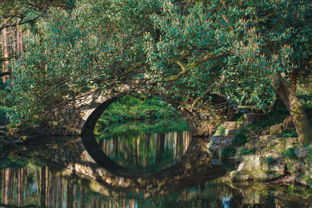 Morning landscapes with trees, cherry blossoms and pond in Quyuan Garden, a public park of West Lake...