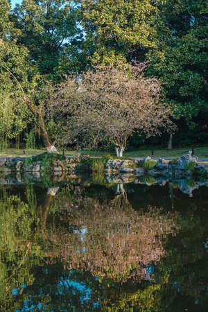 Natural landscapes in Huagang Park, West Lake of Hangzhou, China