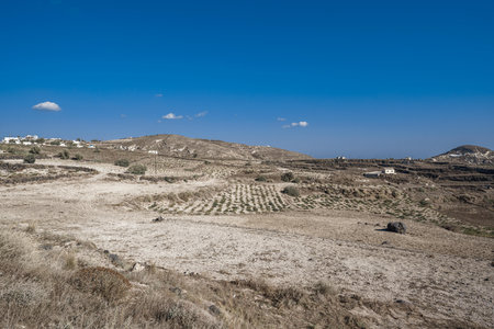Volcanic landscapes and traditional vineyard in Santorini Island in Greeceの写真素材