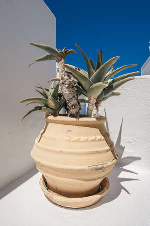 Traditional white buildings and rooftops in the villages of Santorini Island in Greeceの写真素材